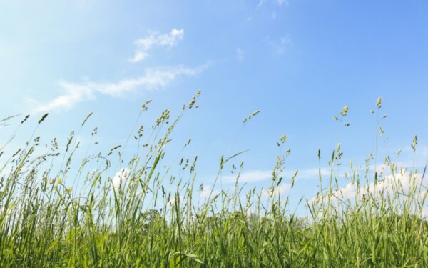 Medikai įspėja: pavojus jau čia ir gali paliesti kiekvieną, skubėkite apsisaugoti
