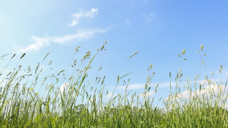 Medikai įspėja: pavojus jau čia ir gali paliesti kiekvieną, skubėkite apsisaugoti