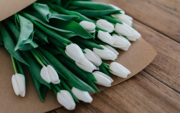 Tulpės vazoje išliks gaivios ilgiau: keli floristų patarimai, ką būtina padaryti vos tik parsinešus puokštę