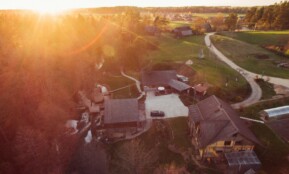 aerial photo of houses near woods