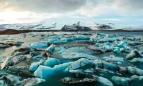 pile of ices on body of water