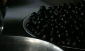 a close up of black berries