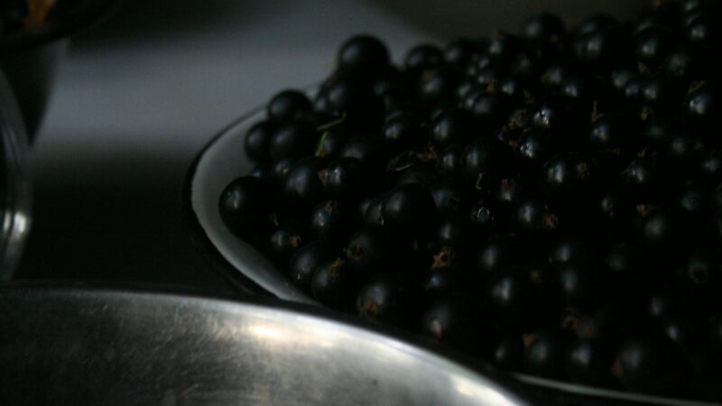 Nauja sveikos mitybos žvaigždė: ši soja saugo širdį, hormonų pusiausvyrą ir odą