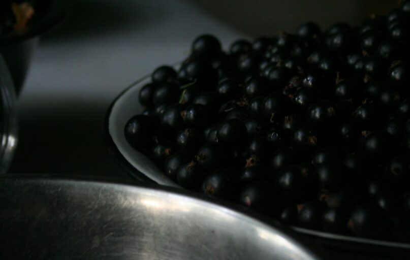a close up of black berries