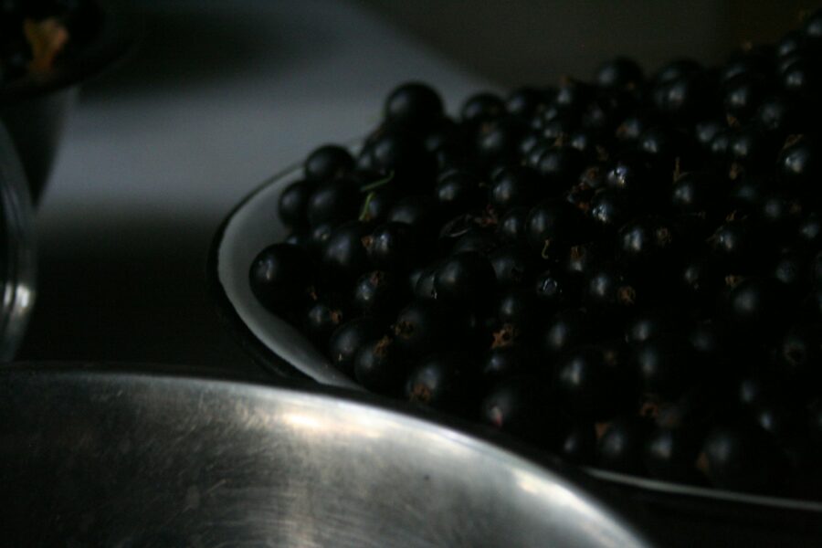 a close up of black berries