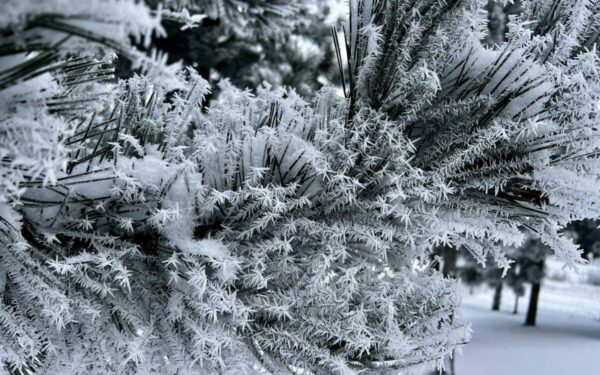 Lietuvoje perrašomi šalčio rekordai: fiksuota žemiausia temperatūra per dvejus metus
