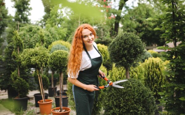 Ketvirtadienio augalų vadovas: atraskite kosminę pusiausvyros paslaptį su šiuo vedančiu augalu