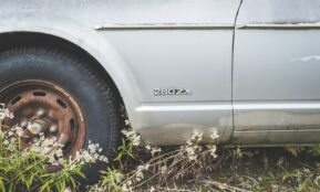 a car is parked in a field of flowers