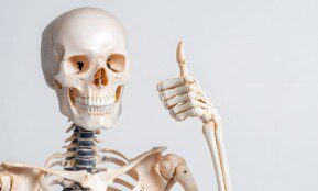 Žmogaus kūnas slepia staigmeną: kodėl kūdikiai turi daugiau kaulų, o kai kurie suaugusieji – „perteklinių“