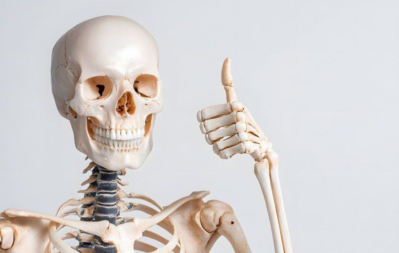 Žmogaus kūnas slepia staigmeną: kodėl kūdikiai turi daugiau kaulų, o kai kurie suaugusieji – „perteklinių“