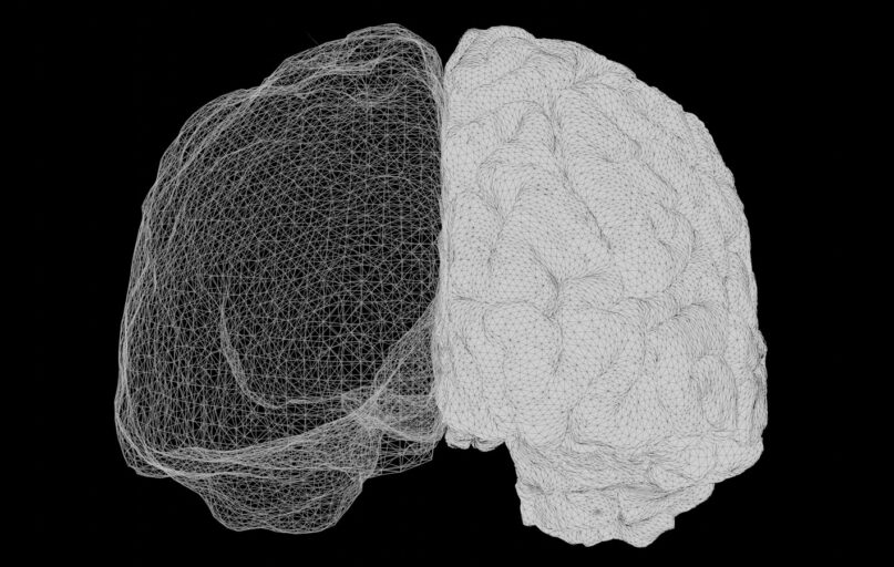 a computer generated image of a human brain