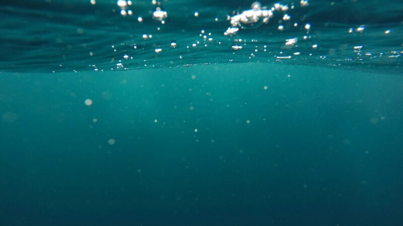 Povandeninė misija Ramiajame vandenyne: mokslininkai netikėtai atrado visiškai nežinomą pasaulį