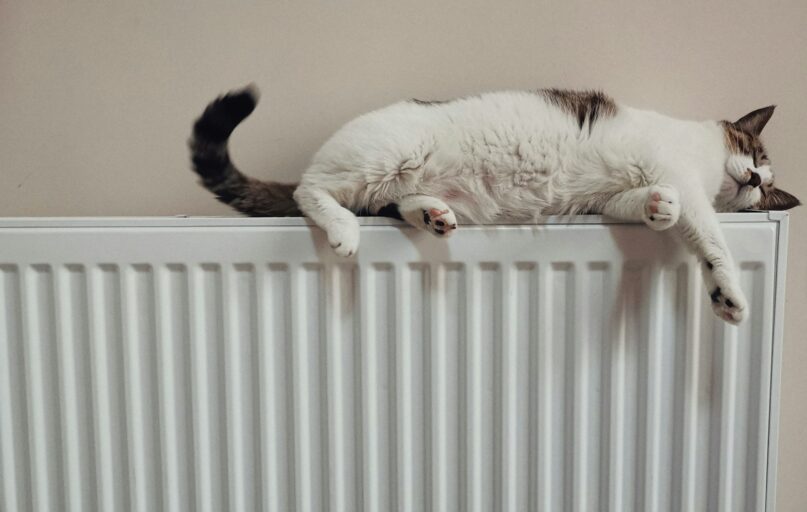 white and black cat on white radiator heater
