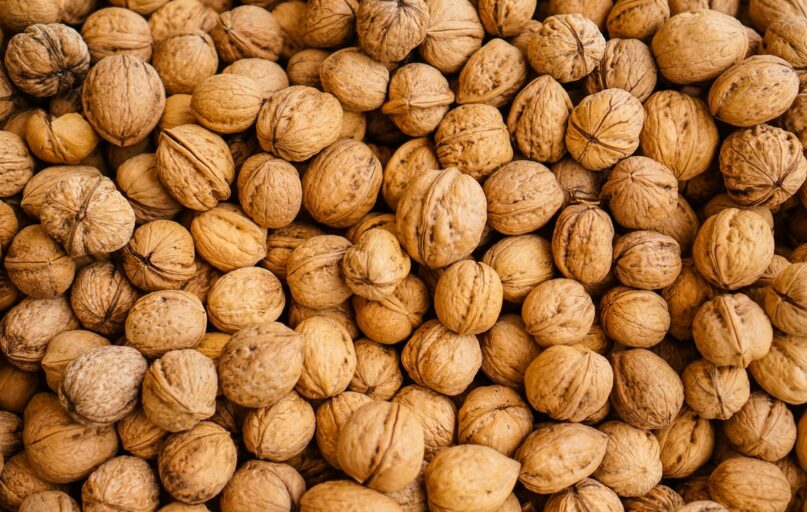 closeup photography of walnuts