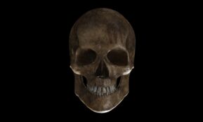 a skull with a black background