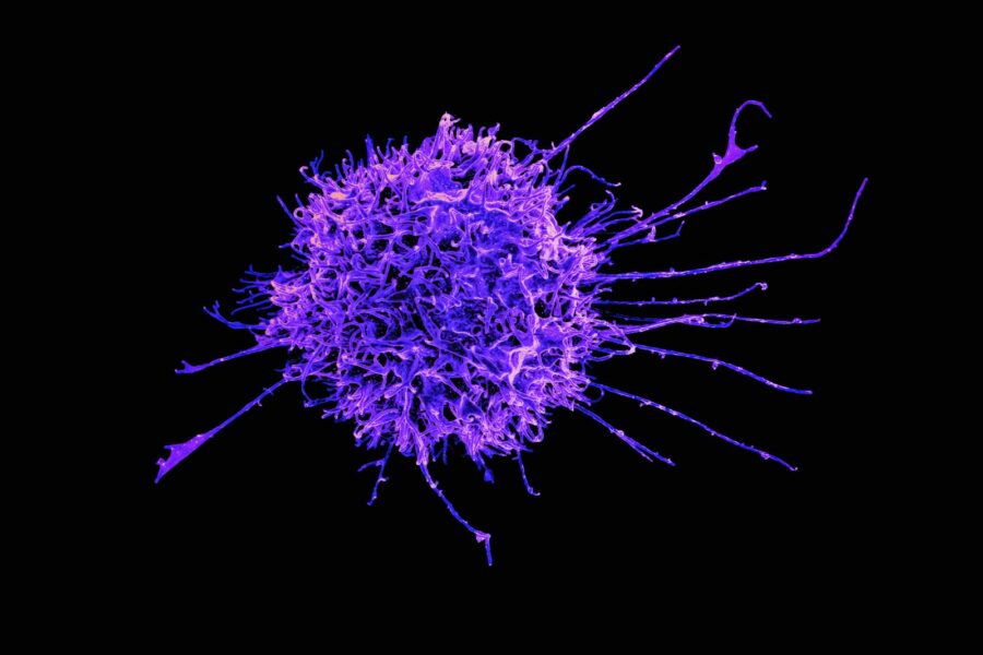 a purple substance is shown on a black background