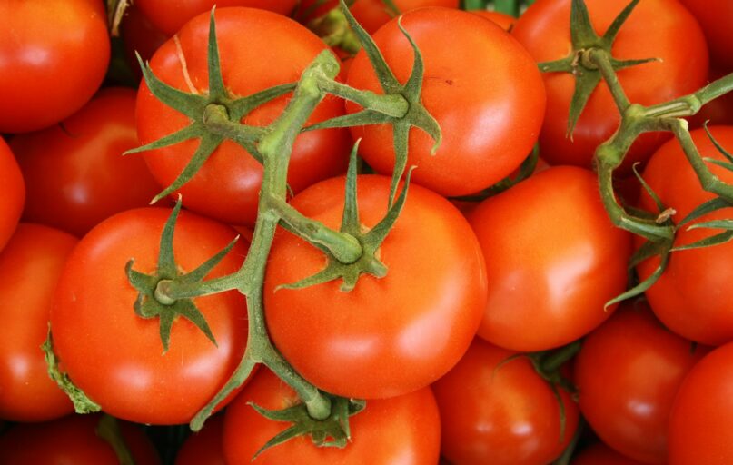 top view of tomatoes