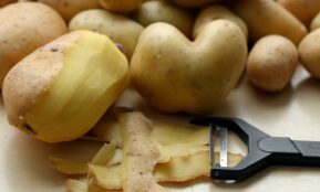 yellow fruit on stainless steel tray