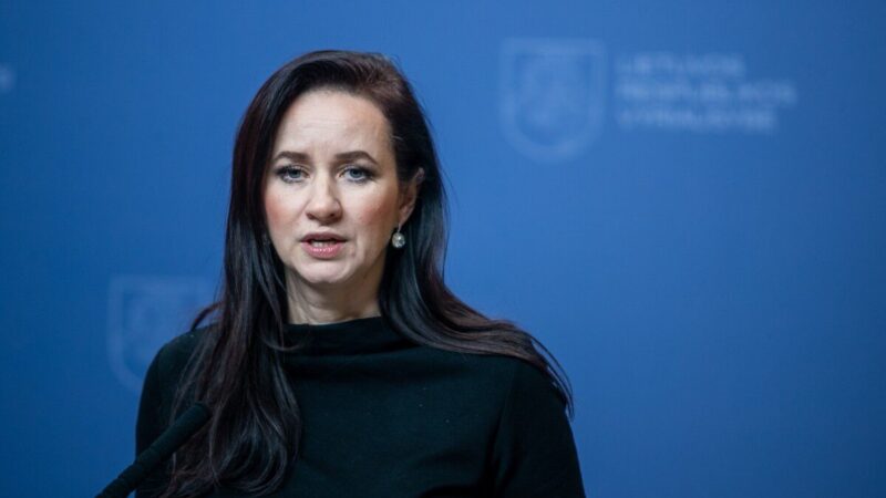 Pavojingas metas regione, Lietuva raginama ruoštis galimiems scenarijams