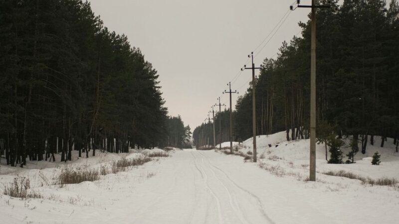 Išaiškinta nelegali schema Ukrainoje: pabėgimas iš kariuomenės kainavo dešimtis tūkstančių dolerių