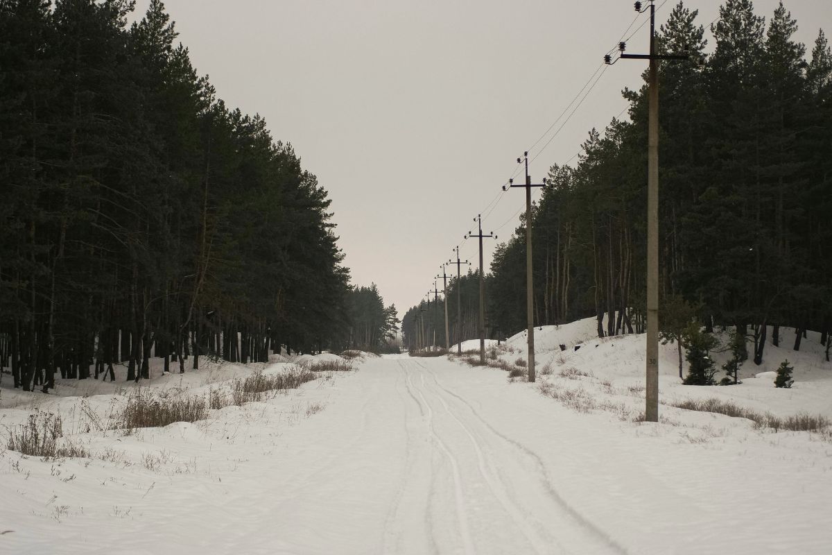 Ar Lietuva pasirengusi daugiau skolintis keliams? Gedaminskas įvardijo galimas sumas