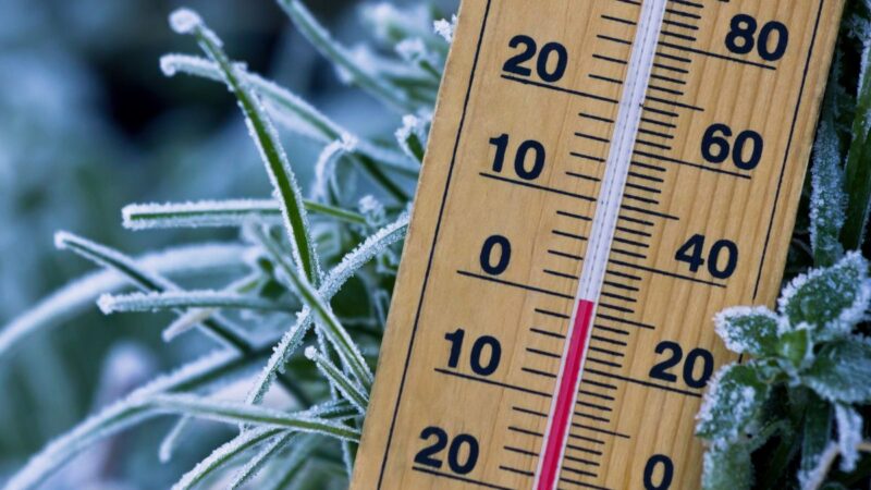 Neįprastas šaltis saulės šalyje: temperatūra priartėjo prie nulio