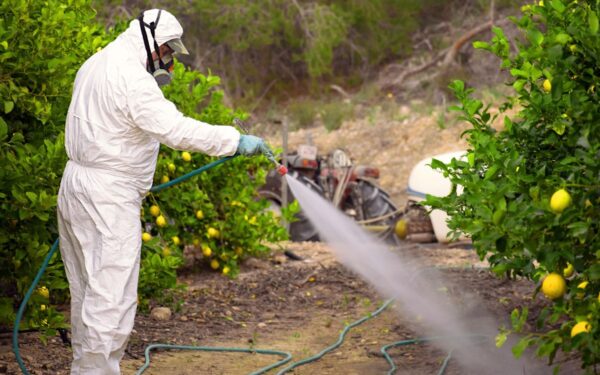 Teismai du kartus draudė, Trumpo administracija vėl leido naudoti prieštaringą chemikalą