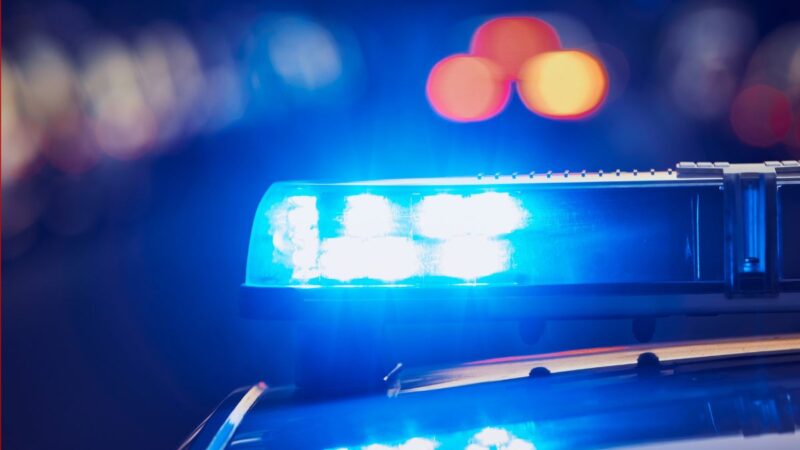 30 valandų košmaras garaže: magistratė ir jos motina tapo žiaurių nusikaltėlių įkaitėmis