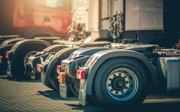 Vilkikų istorija dar nesibaigė: leidimas išvykti yra, tačiau dalies jų likimas vis dar pakibęs ant plauko