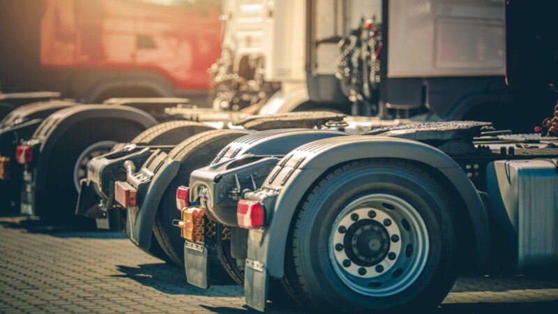 Vilkikų istorija dar nesibaigė: leidimas išvykti yra, tačiau dalies jų likimas vis dar pakibęs ant plauko