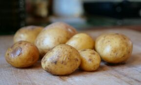 Several raw potatoes resting on a wooden surface