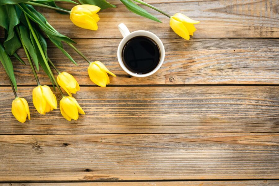 Sekmadienio augalų gidas: sužinokite, kuris augalas šiandien subalansuos jūsų energiją