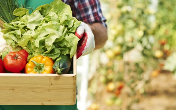 PVM bomba Seime: ar kainos kris jau netrukus, ar tai tik dar viena iliuzija pirkėjams?