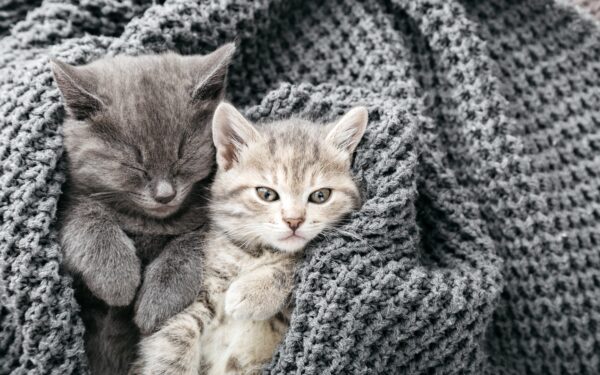 Mokslinis tyrimas atskleidė netikėtą pavojų vaikams, apie kurį daugelis nesusimąsto