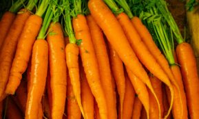 a pile of carrots sitting next to each other