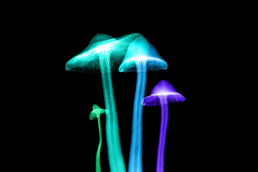 four assorted-color lights