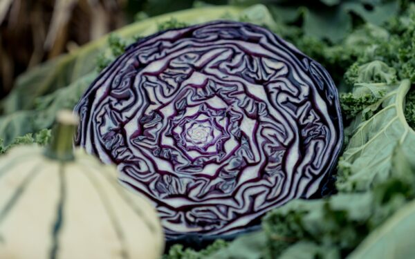 Pamirškite nuobodžius užkandžius: atskleista, kaip paruošti traškius violetinius balandėlius