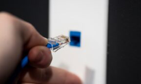 a person holding a blue and white object in their hand