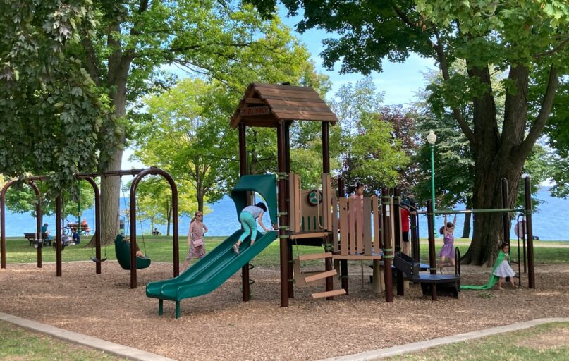 brown wooden playground surrounded by green trees during daytime