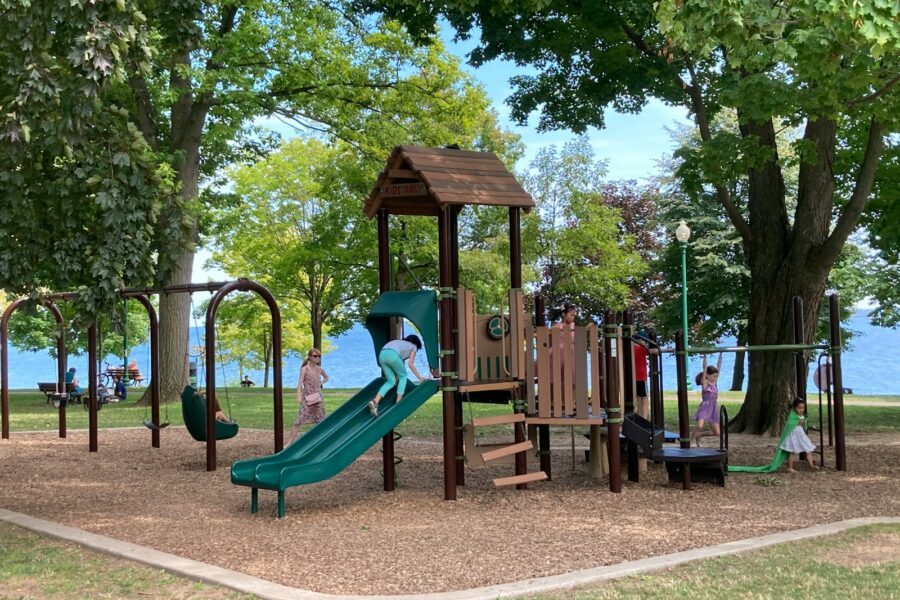 brown wooden playground surrounded by green trees during daytime