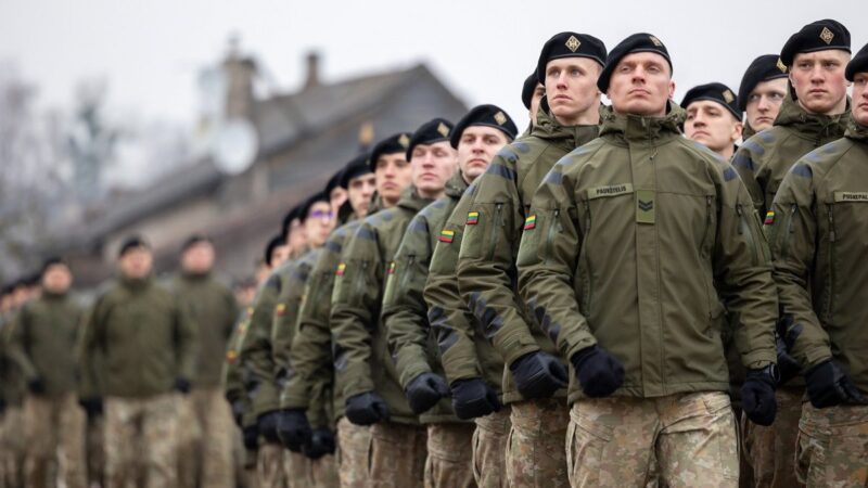 Pratybos tik vasarą ar visus metus: kariuomenė paneigia Žemaitaičio žodžius ir atskleidžia, kaip viskas vyksta iš tikrųjų