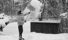 Person shoveling snow in a winter landscape