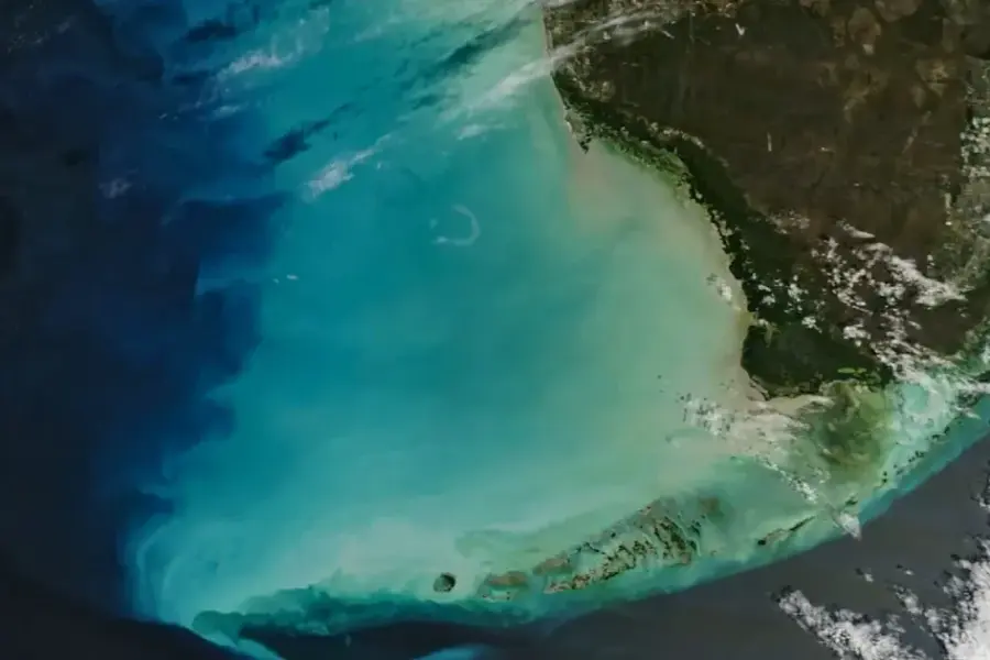 Mokslininkai sunerimę: po audrų Meksikos įlanka staiga nušvito neįprasta žalia spalva, kas vyksta?