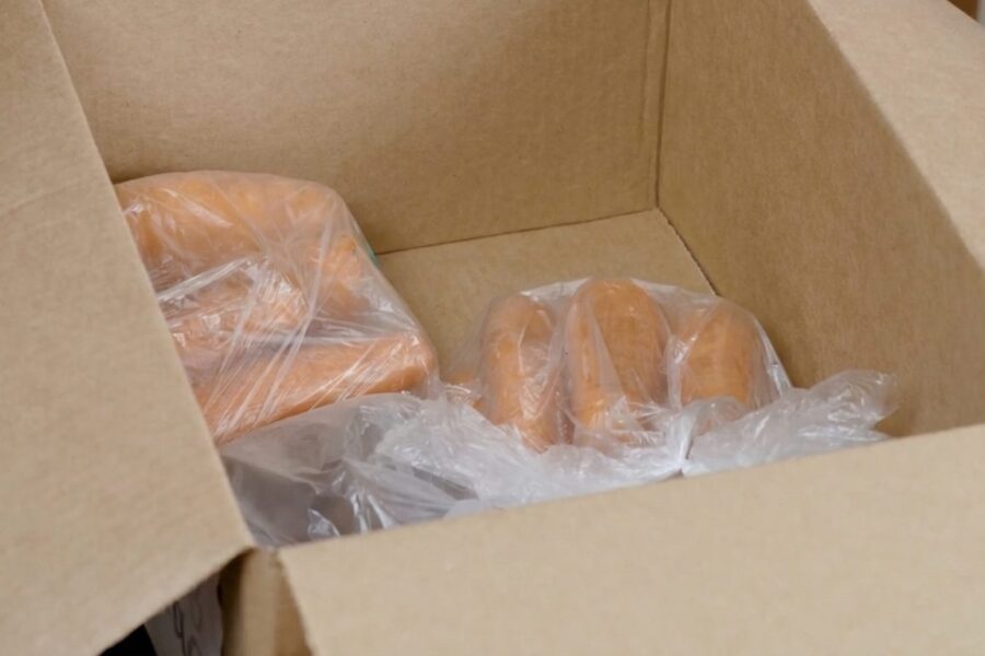 Turite daug nereikalingų dėžių? Neišmeskite jų, jos gali išgelbėti visą jūsų derlių