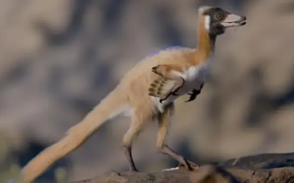 Patagonijoje rastas nykštukinis dinozauras su ilgomis priekinėmis galūnėmis