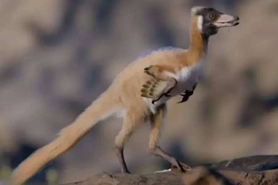 Patagonijoje rastas nykštukinis dinozauras su ilgomis priekinėmis galūnėmis
