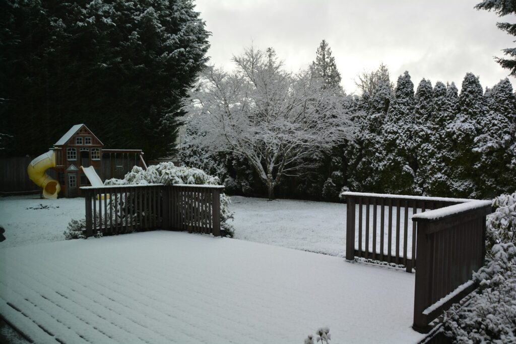 A snow covered yard with trees and a fence