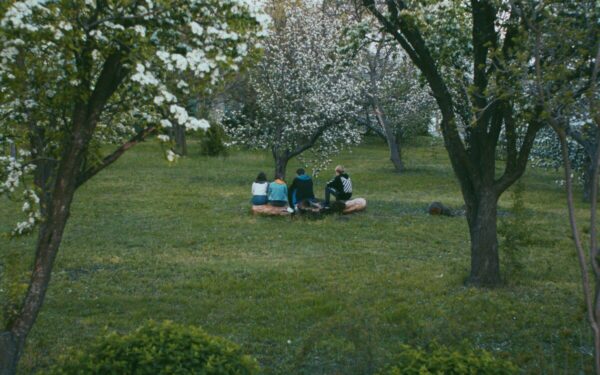 Sodo specialistai atskleidė: kada balinti vaismedžius, kad apsaugotumėte juos nuo kenkėjų