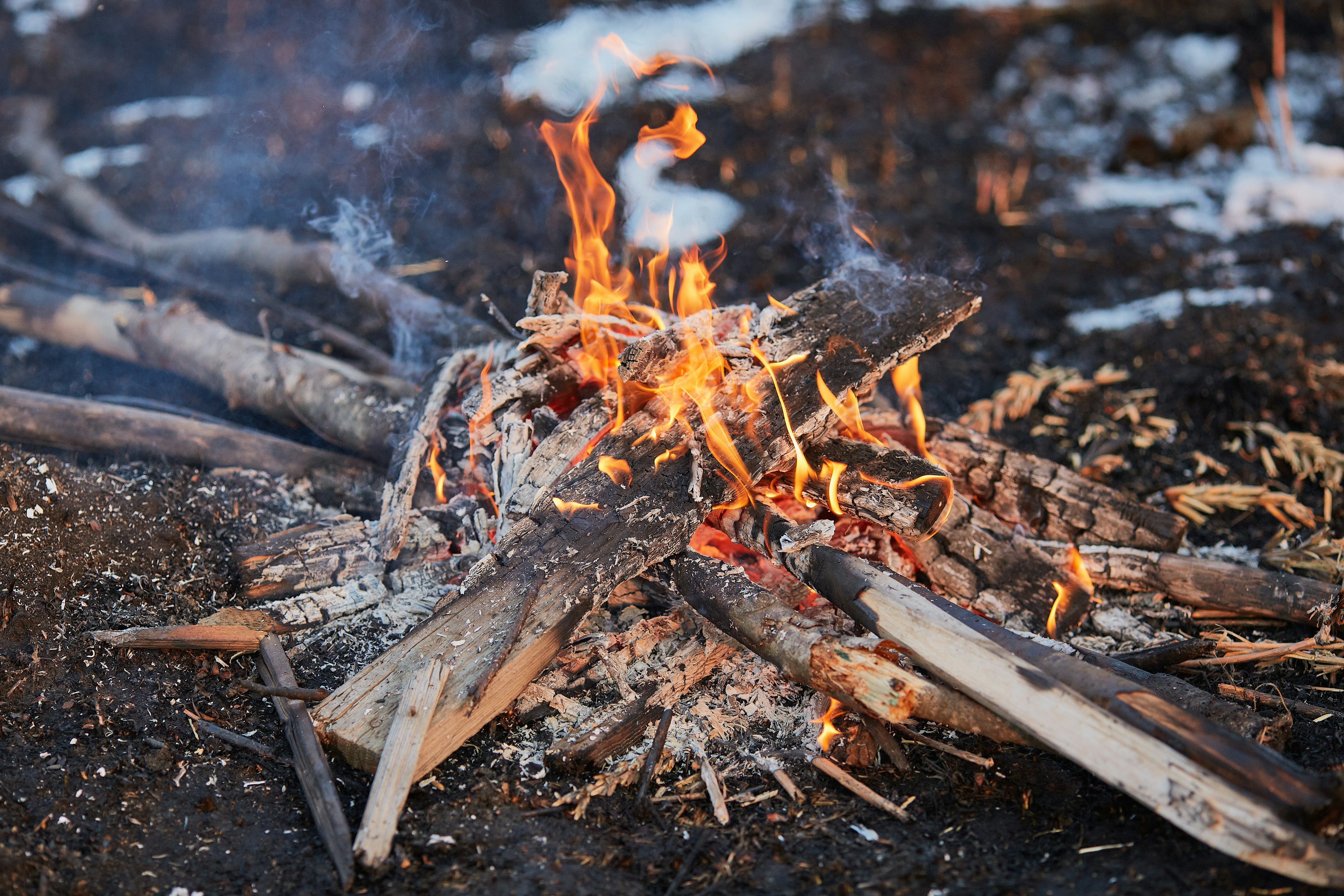 Ugnis pakeitė mūsų DNR? Mokslininkai teigia, kad nudegimai galėjo formuoti žmogaus evoliuciją