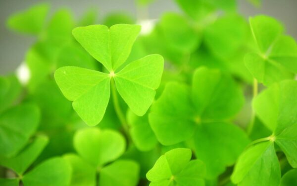 Fortūna atsisuka: trys ženklai, kuriems šią savaitę seksis taip, kad pavydės net draugai